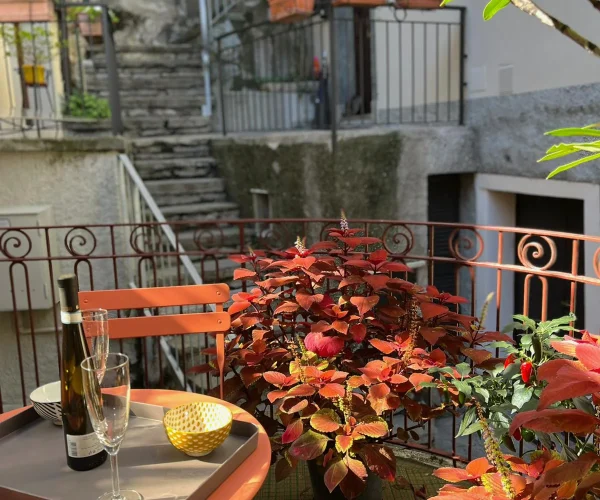 Terrace-04